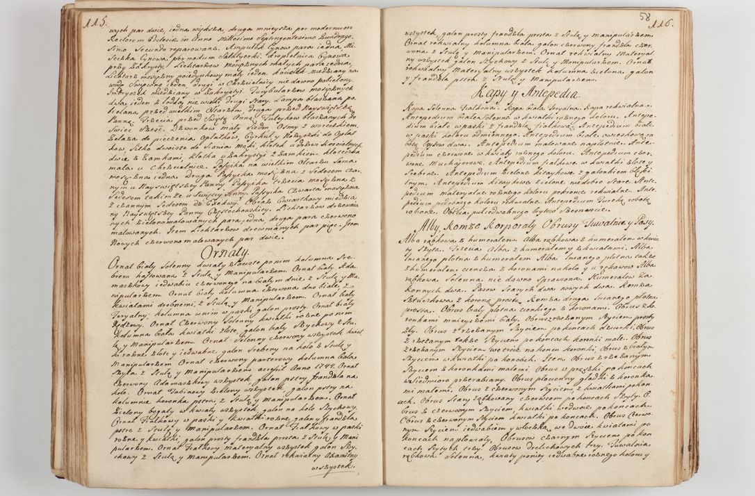 Zdjęcie nr 65 dla obiektu archiwalnego: Acta visitationis decanatus Proszoviensis et Vitoviensis vigore instrumenti delegationis a R. D. Andrea Stanislao Kostka in Załuskie Załuski, episcopo Cracoviensi, duce Severiae - emanati in persona R. D. Mathiae Josephi a Łubna Łubiński, canonici cathedralis et consistorii generalis Cracoviensis iudicis surrogati, praepositi Ressoviensis a. D. 1747 factae