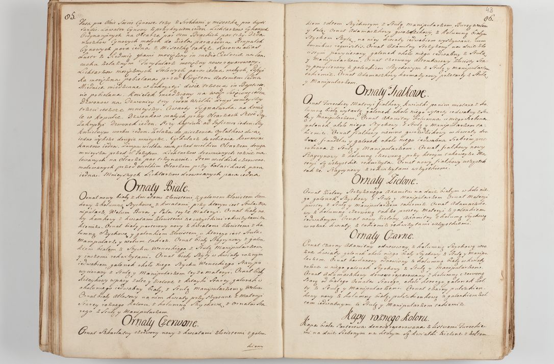 Zdjęcie nr 50 dla obiektu archiwalnego: Acta visitationis decanatus Proszoviensis et Vitoviensis vigore instrumenti delegationis a R. D. Andrea Stanislao Kostka in Załuskie Załuski, episcopo Cracoviensi, duce Severiae - emanati in persona R. D. Mathiae Josephi a Łubna Łubiński, canonici cathedralis et consistorii generalis Cracoviensis iudicis surrogati, praepositi Ressoviensis a. D. 1747 factae