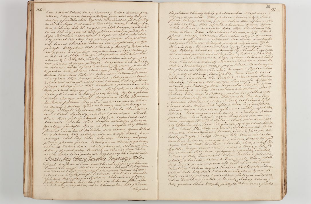 Zdjęcie nr 40 dla obiektu archiwalnego: Acta visitationis decanatus Proszoviensis et Vitoviensis vigore instrumenti delegationis a R. D. Andrea Stanislao Kostka in Załuskie Załuski, episcopo Cracoviensi, duce Severiae - emanati in persona R. D. Mathiae Josephi a Łubna Łubiński, canonici cathedralis et consistorii generalis Cracoviensis iudicis surrogati, praepositi Ressoviensis a. D. 1747 factae