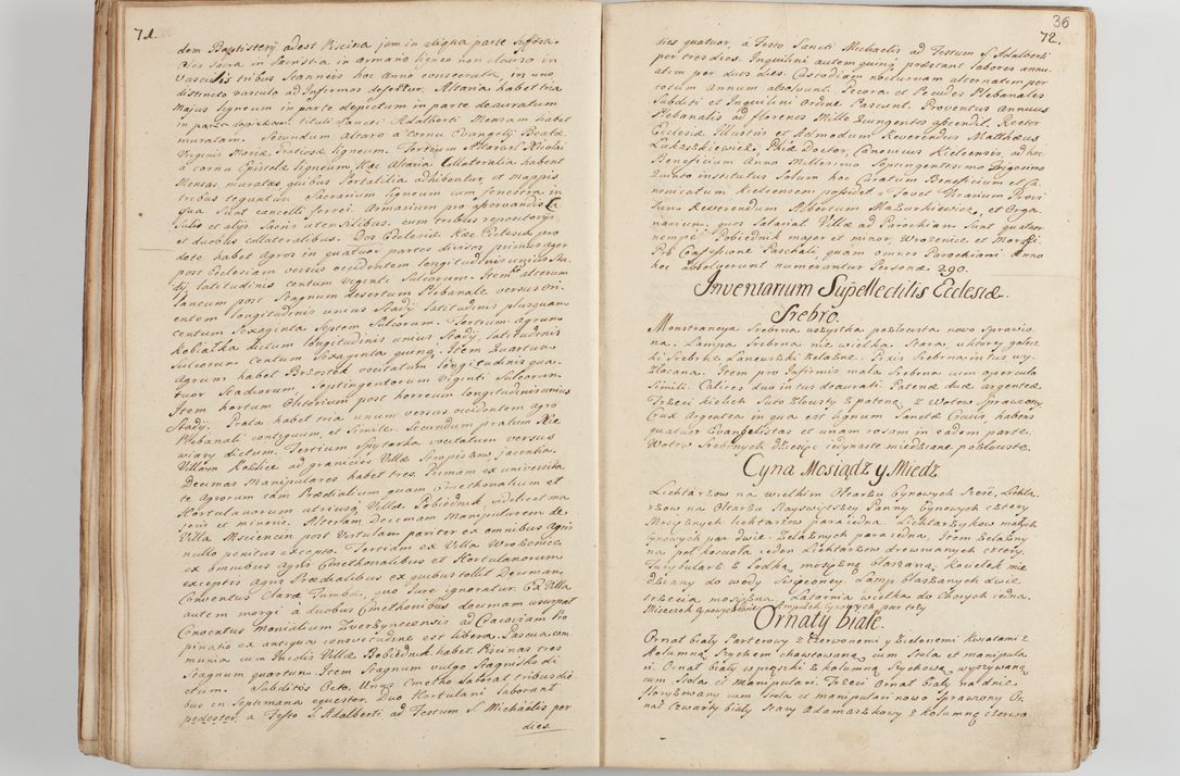Zdjęcie nr 43 dla obiektu archiwalnego: Acta visitationis decanatus Proszoviensis et Vitoviensis vigore instrumenti delegationis a R. D. Andrea Stanislao Kostka in Załuskie Załuski, episcopo Cracoviensi, duce Severiae - emanati in persona R. D. Mathiae Josephi a Łubna Łubiński, canonici cathedralis et consistorii generalis Cracoviensis iudicis surrogati, praepositi Ressoviensis a. D. 1747 factae