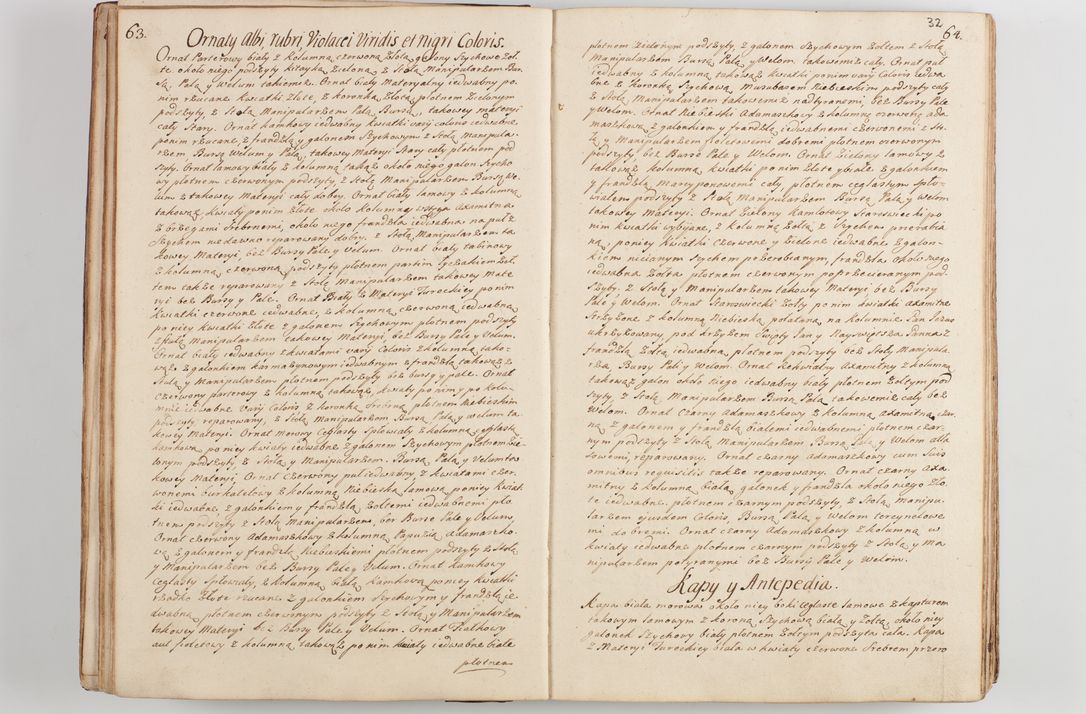 Zdjęcie nr 39 dla obiektu archiwalnego: Acta visitationis decanatus Proszoviensis et Vitoviensis vigore instrumenti delegationis a R. D. Andrea Stanislao Kostka in Załuskie Załuski, episcopo Cracoviensi, duce Severiae - emanati in persona R. D. Mathiae Josephi a Łubna Łubiński, canonici cathedralis et consistorii generalis Cracoviensis iudicis surrogati, praepositi Ressoviensis a. D. 1747 factae