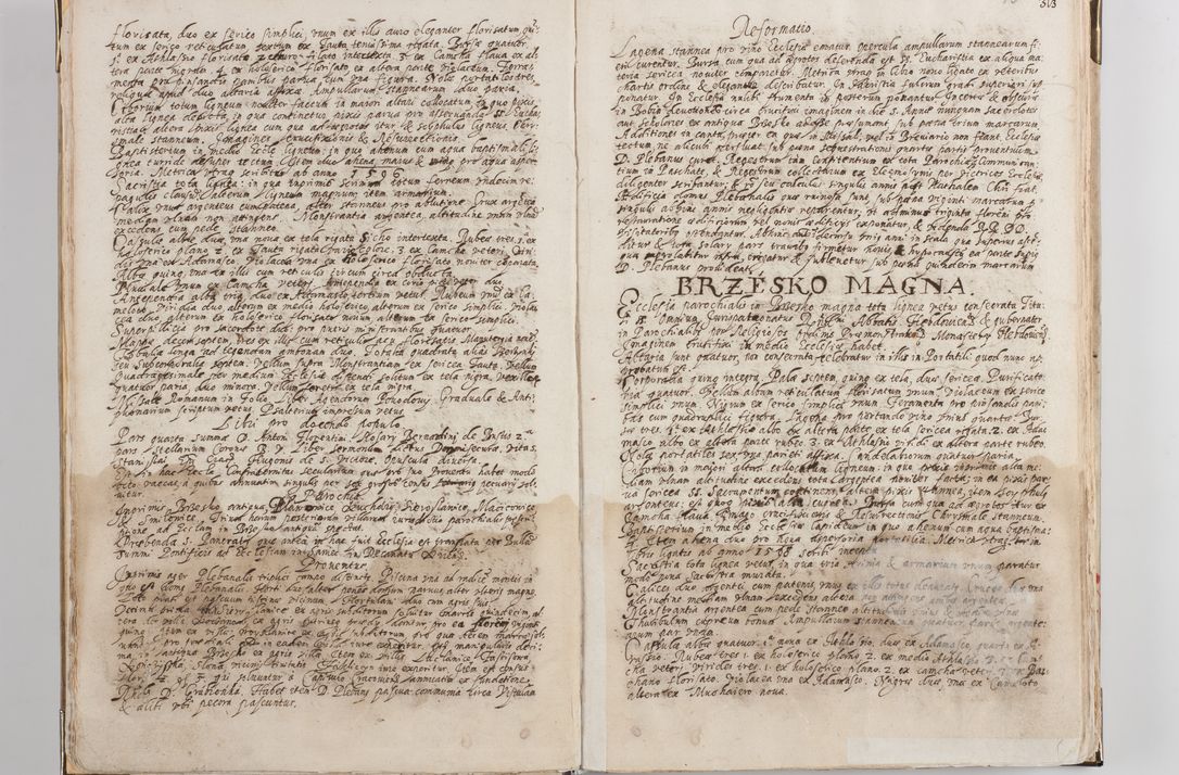 Zdjęcie nr 12 dla obiektu archiwalnego: Acta visitationis exterioris decanatus Witoviensis, Opatovecensis, Skavinensis, Zatoriensis, Kiiensis, Oswencimensis, Wolbromensis, Skalensis, Pacanoviensis et Sokoliensis authoritate R. D. Petri Tylicki, episcopi Cracoviensis per R. D. Rochum Zardecki, praepositum et officialem Tarnoviensem et Sebastianum Nucerium, s. Theologiae doctorem, canonicum Scarbimiriensem a. D. 1610 facta. Pag. 255 - 264 visitatio ecclesiae parochialis in Szydłowiec ex anno 1614