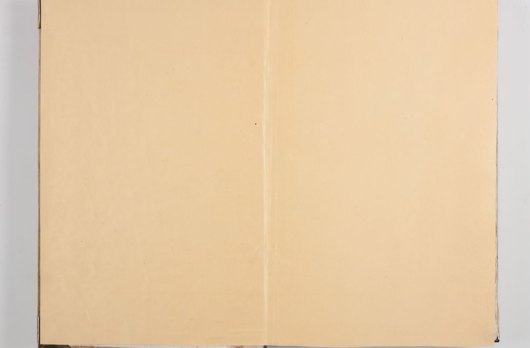 Zdjęcie nr 4 dla obiektu archiwalnego: Acta visitationis exterioris decanatus Witoviensis, Opatovecensis, Skavinensis, Zatoriensis, Kiiensis, Oswencimensis, Wolbromensis, Skalensis, Pacanoviensis et Sokoliensis authoritate R. D. Petri Tylicki, episcopi Cracoviensis per R. D. Rochum Zardecki, praepositum et officialem Tarnoviensem et Sebastianum Nucerium, s. Theologiae doctorem, canonicum Scarbimiriensem a. D. 1610 facta. Pag. 255 - 264 visitatio ecclesiae parochialis in Szydłowiec ex anno 1614