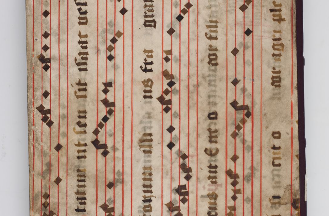 Zdjęcie nr 2 dla obiektu archiwalnego: Acta visitationis exterioris decanatus Witoviensis, Opatovecensis, Skavinensis, Zatoriensis, Kiiensis, Oswencimensis, Wolbromensis, Skalensis, Pacanoviensis et Sokoliensis authoritate R. D. Petri Tylicki, episcopi Cracoviensis per R. D. Rochum Zardecki, praepositum et officialem Tarnoviensem et Sebastianum Nucerium, s. Theologiae doctorem, canonicum Scarbimiriensem a. D. 1610 facta. Pag. 255 - 264 visitatio ecclesiae parochialis in Szydłowiec ex anno 1614