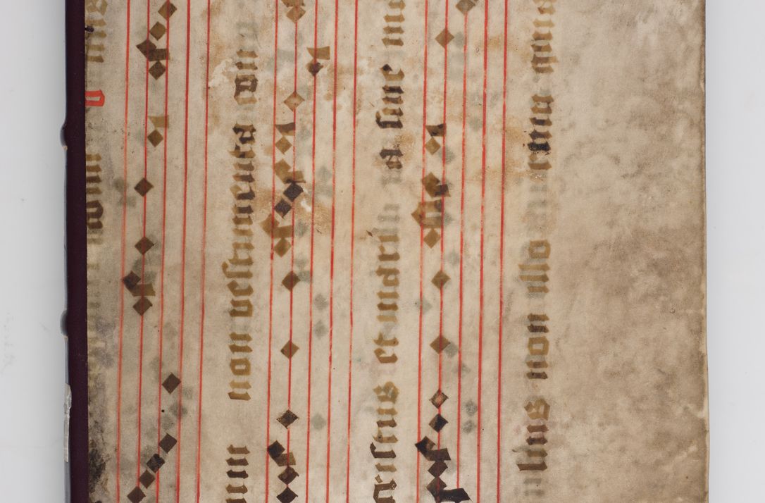 Zdjęcie nr 1 dla obiektu archiwalnego: Acta visitationis exterioris decanatus Witoviensis, Opatovecensis, Skavinensis, Zatoriensis, Kiiensis, Oswencimensis, Wolbromensis, Skalensis, Pacanoviensis et Sokoliensis authoritate R. D. Petri Tylicki, episcopi Cracoviensis per R. D. Rochum Zardecki, praepositum et officialem Tarnoviensem et Sebastianum Nucerium, s. Theologiae doctorem, canonicum Scarbimiriensem a. D. 1610 facta. Pag. 255 - 264 visitatio ecclesiae parochialis in Szydłowiec ex anno 1614