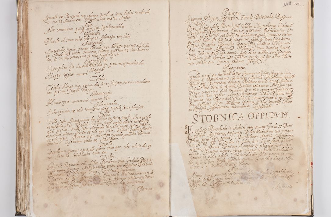 Zdjęcie nr 133 dla obiektu archiwalnego: Acta visitationis exterioris decanatus Witoviensis, Opatovecensis, Skavinensis, Zatoriensis, Kiiensis, Oswencimensis, Wolbromensis, Skalensis, Pacanoviensis et Sokoliensis authoritate R. D. Petri Tylicki, episcopi Cracoviensis per R. D. Rochum Zardecki, praepositum et officialem Tarnoviensem et Sebastianum Nucerium, s. Theologiae doctorem, canonicum Scarbimiriensem a. D. 1610 facta. Pag. 255 - 264 visitatio ecclesiae parochialis in Szydłowiec ex anno 1614