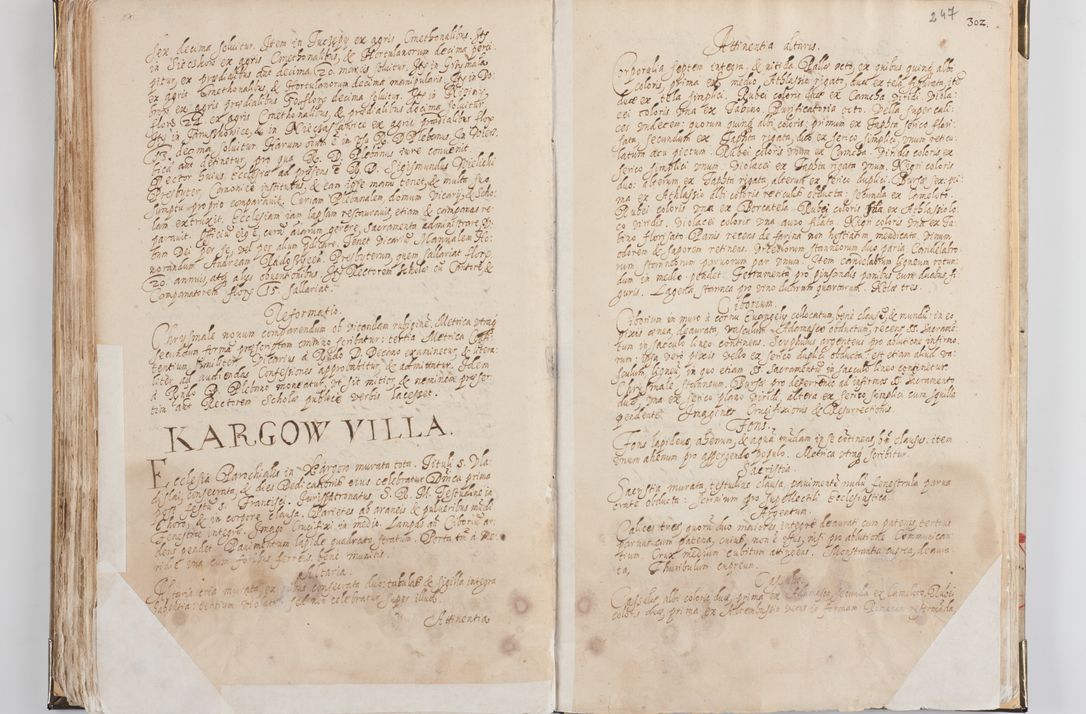 Zdjęcie nr 132 dla obiektu archiwalnego: Acta visitationis exterioris decanatus Witoviensis, Opatovecensis, Skavinensis, Zatoriensis, Kiiensis, Oswencimensis, Wolbromensis, Skalensis, Pacanoviensis et Sokoliensis authoritate R. D. Petri Tylicki, episcopi Cracoviensis per R. D. Rochum Zardecki, praepositum et officialem Tarnoviensem et Sebastianum Nucerium, s. Theologiae doctorem, canonicum Scarbimiriensem a. D. 1610 facta. Pag. 255 - 264 visitatio ecclesiae parochialis in Szydłowiec ex anno 1614