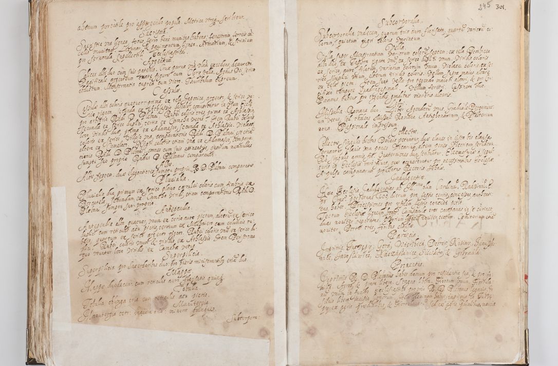 Zdjęcie nr 131 dla obiektu archiwalnego: Acta visitationis exterioris decanatus Witoviensis, Opatovecensis, Skavinensis, Zatoriensis, Kiiensis, Oswencimensis, Wolbromensis, Skalensis, Pacanoviensis et Sokoliensis authoritate R. D. Petri Tylicki, episcopi Cracoviensis per R. D. Rochum Zardecki, praepositum et officialem Tarnoviensem et Sebastianum Nucerium, s. Theologiae doctorem, canonicum Scarbimiriensem a. D. 1610 facta. Pag. 255 - 264 visitatio ecclesiae parochialis in Szydłowiec ex anno 1614