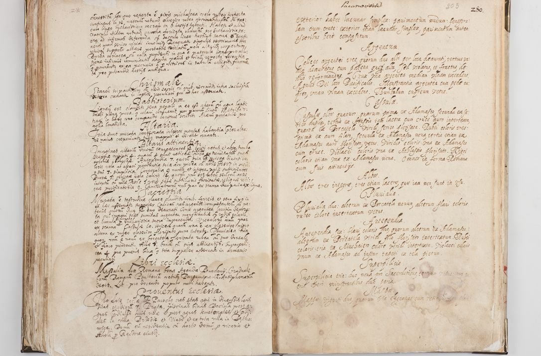 Zdjęcie nr 110 dla obiektu archiwalnego: Acta visitationis exterioris decanatus Witoviensis, Opatovecensis, Skavinensis, Zatoriensis, Kiiensis, Oswencimensis, Wolbromensis, Skalensis, Pacanoviensis et Sokoliensis authoritate R. D. Petri Tylicki, episcopi Cracoviensis per R. D. Rochum Zardecki, praepositum et officialem Tarnoviensem et Sebastianum Nucerium, s. Theologiae doctorem, canonicum Scarbimiriensem a. D. 1610 facta. Pag. 255 - 264 visitatio ecclesiae parochialis in Szydłowiec ex anno 1614