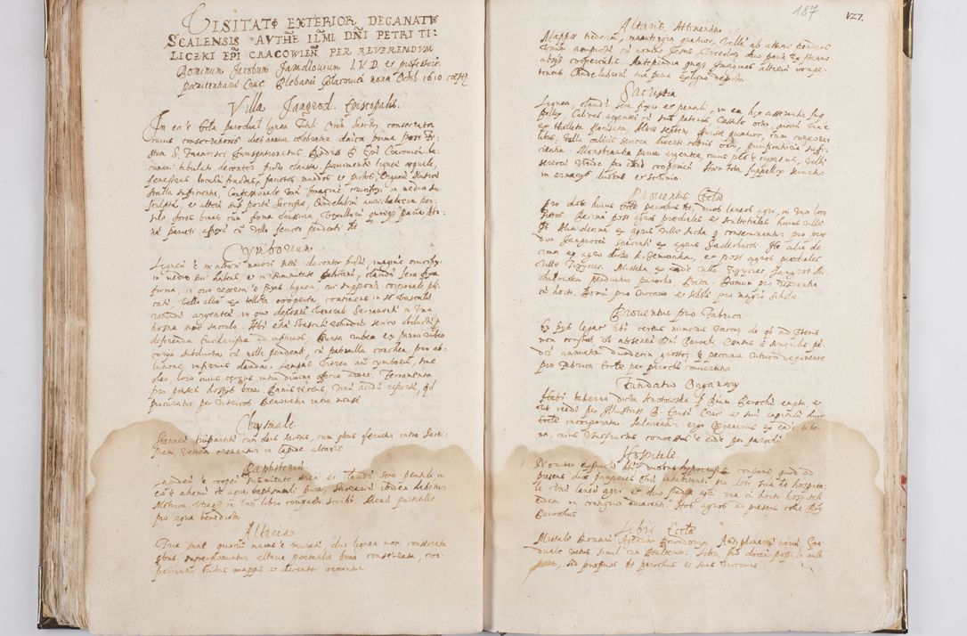 Zdjęcie nr 102 dla obiektu archiwalnego: Acta visitationis exterioris decanatus Witoviensis, Opatovecensis, Skavinensis, Zatoriensis, Kiiensis, Oswencimensis, Wolbromensis, Skalensis, Pacanoviensis et Sokoliensis authoritate R. D. Petri Tylicki, episcopi Cracoviensis per R. D. Rochum Zardecki, praepositum et officialem Tarnoviensem et Sebastianum Nucerium, s. Theologiae doctorem, canonicum Scarbimiriensem a. D. 1610 facta. Pag. 255 - 264 visitatio ecclesiae parochialis in Szydłowiec ex anno 1614