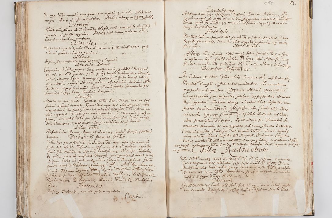 Zdjęcie nr 82 dla obiektu archiwalnego: Acta visitationis exterioris decanatus Witoviensis, Opatovecensis, Skavinensis, Zatoriensis, Kiiensis, Oswencimensis, Wolbromensis, Skalensis, Pacanoviensis et Sokoliensis authoritate R. D. Petri Tylicki, episcopi Cracoviensis per R. D. Rochum Zardecki, praepositum et officialem Tarnoviensem et Sebastianum Nucerium, s. Theologiae doctorem, canonicum Scarbimiriensem a. D. 1610 facta. Pag. 255 - 264 visitatio ecclesiae parochialis in Szydłowiec ex anno 1614