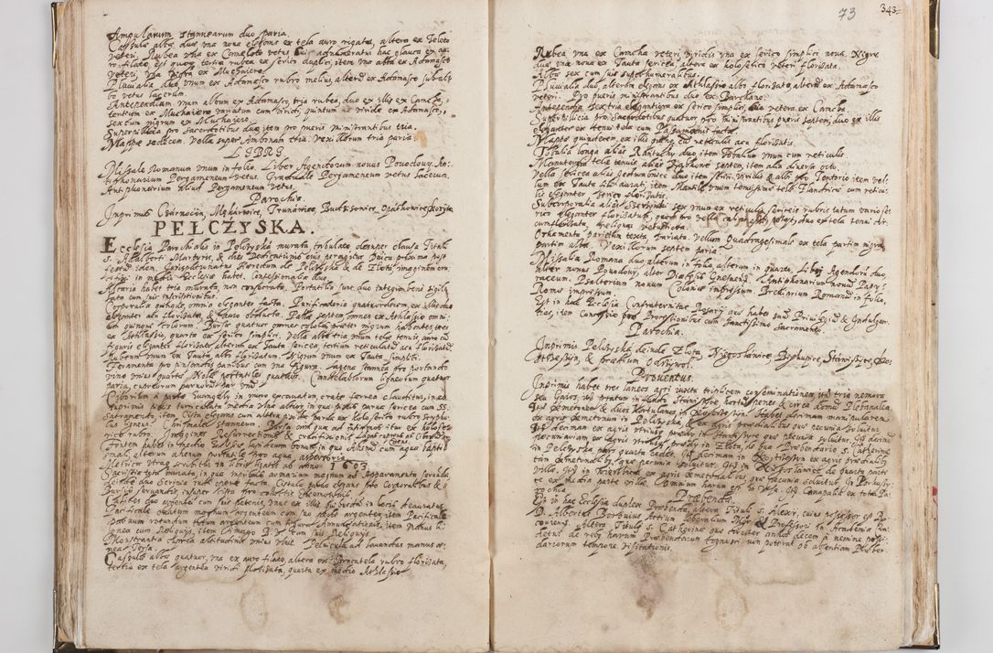 Zdjęcie nr 44 dla obiektu archiwalnego: Acta visitationis exterioris decanatus Witoviensis, Opatovecensis, Skavinensis, Zatoriensis, Kiiensis, Oswencimensis, Wolbromensis, Skalensis, Pacanoviensis et Sokoliensis authoritate R. D. Petri Tylicki, episcopi Cracoviensis per R. D. Rochum Zardecki, praepositum et officialem Tarnoviensem et Sebastianum Nucerium, s. Theologiae doctorem, canonicum Scarbimiriensem a. D. 1610 facta. Pag. 255 - 264 visitatio ecclesiae parochialis in Szydłowiec ex anno 1614