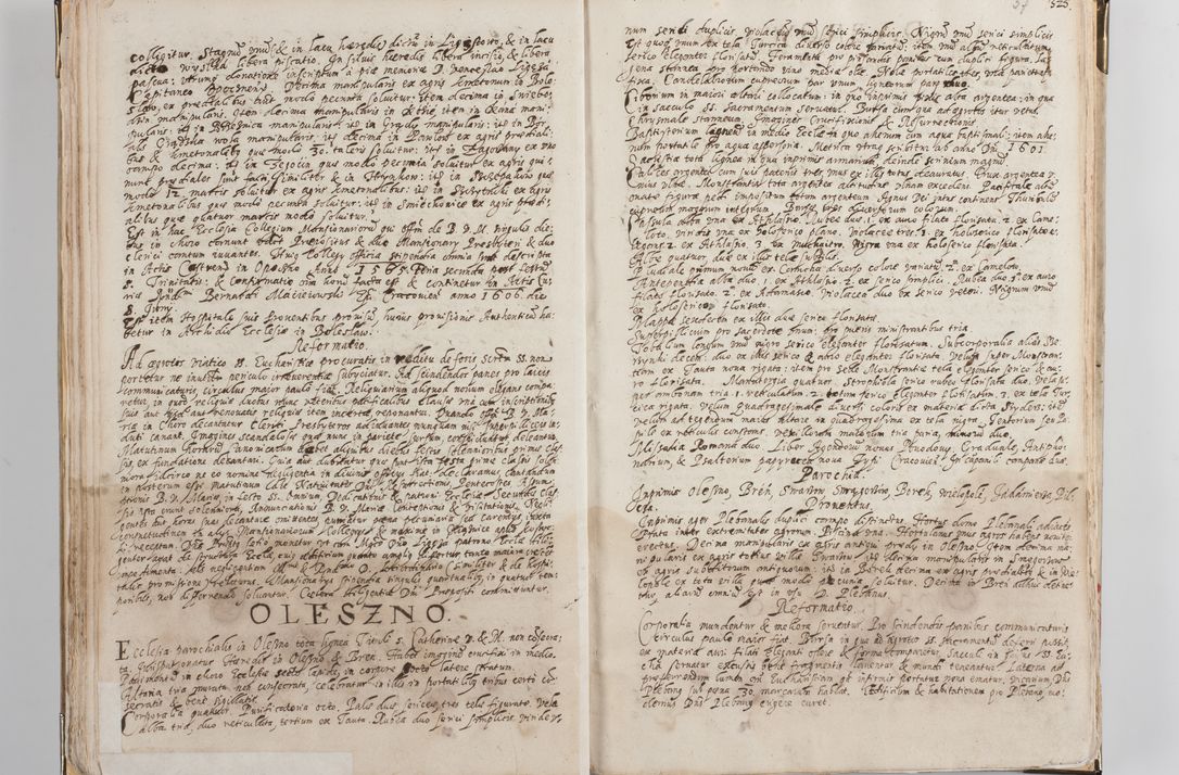 Zdjęcie nr 25 dla obiektu archiwalnego: Acta visitationis exterioris decanatus Witoviensis, Opatovecensis, Skavinensis, Zatoriensis, Kiiensis, Oswencimensis, Wolbromensis, Skalensis, Pacanoviensis et Sokoliensis authoritate R. D. Petri Tylicki, episcopi Cracoviensis per R. D. Rochum Zardecki, praepositum et officialem Tarnoviensem et Sebastianum Nucerium, s. Theologiae doctorem, canonicum Scarbimiriensem a. D. 1610 facta. Pag. 255 - 264 visitatio ecclesiae parochialis in Szydłowiec ex anno 1614