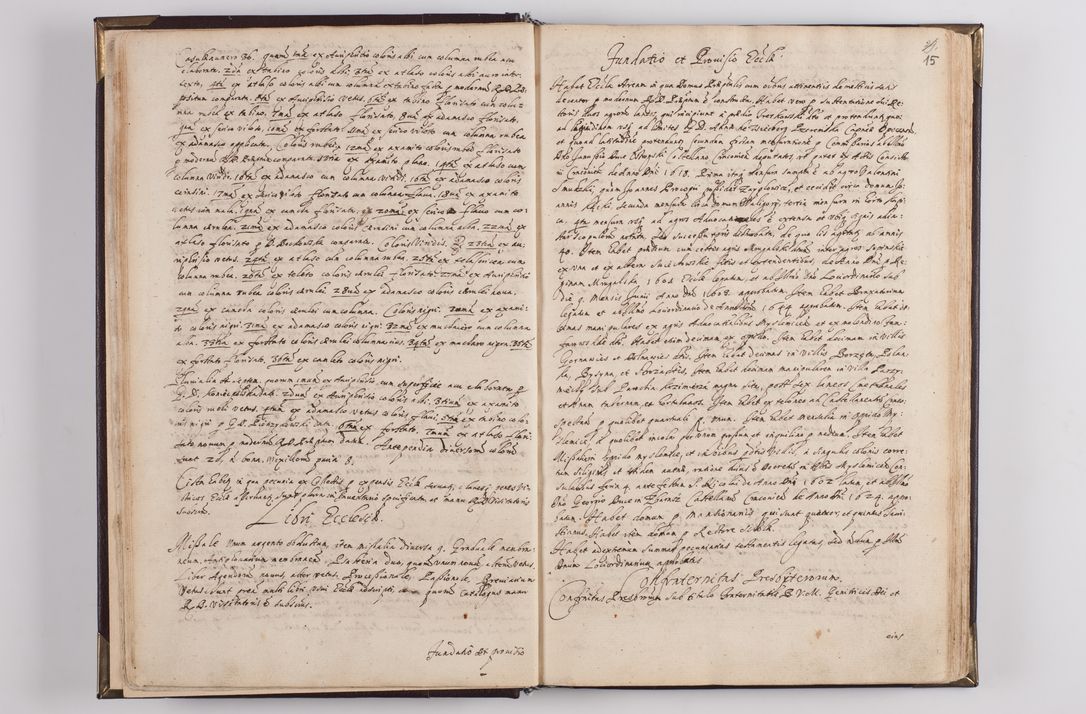 Zdjęcie nr 21 dla obiektu archiwalnego: Liber visitationum decanatus Dobczycensis a perillri ac reverendissimo Domino Nicolao Oborski Dei et Apostolice Sedis Gratia Episcopo Laodicensis Suffraganeo, Archidiacono, Vicario in Spiritualibus et Officiali Generali Cracoviensi 
