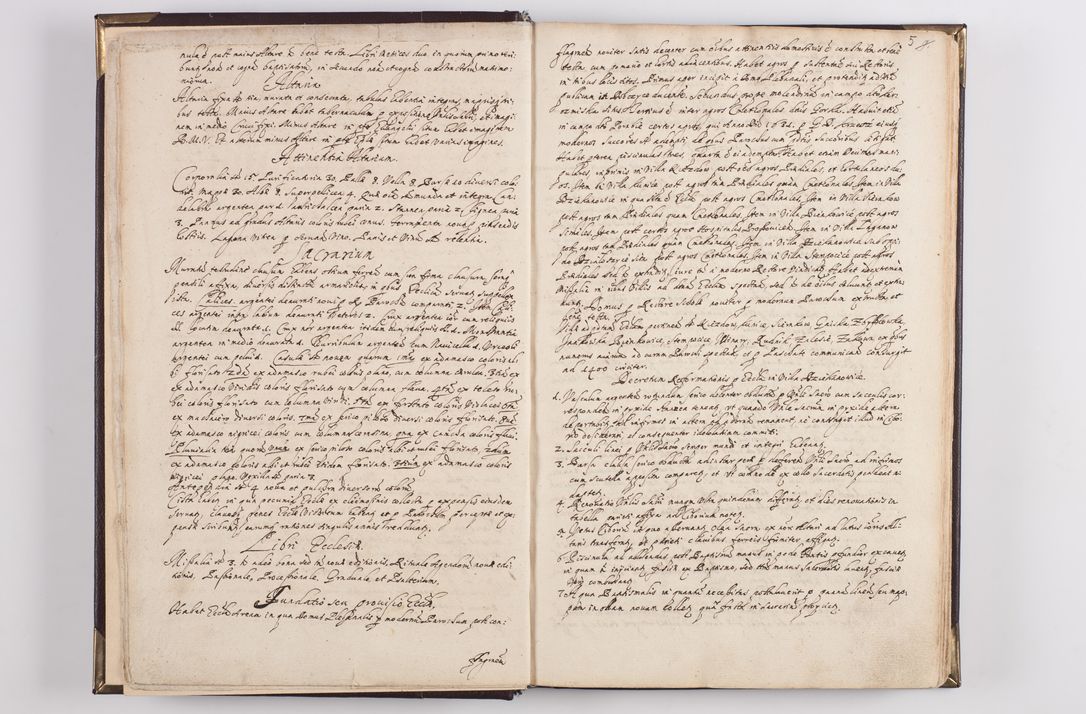 Zdjęcie nr 11 dla obiektu archiwalnego: Liber visitationum decanatus Dobczycensis a perillri ac reverendissimo Domino Nicolao Oborski Dei et Apostolice Sedis Gratia Episcopo Laodicensis Suffraganeo, Archidiacono, Vicario in Spiritualibus et Officiali Generali Cracoviensi 