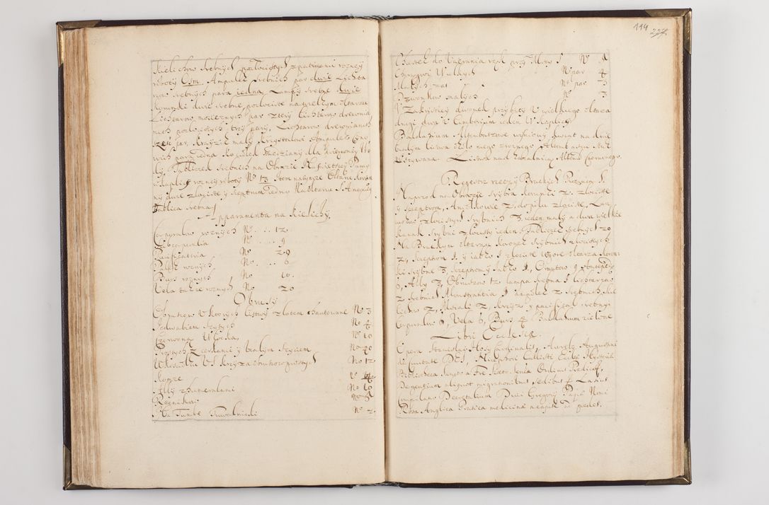 Zdjęcie nr 124 dla obiektu archiwalnego: Liber visitationum decanatus Dobczycensis a perillri ac reverendissimo Domino Nicolao Oborski Dei et Apostolice Sedis Gratia Episcopo Laodicensis Suffraganeo, Archidiacono, Vicario in Spiritualibus et Officiali Generali Cracoviensi 