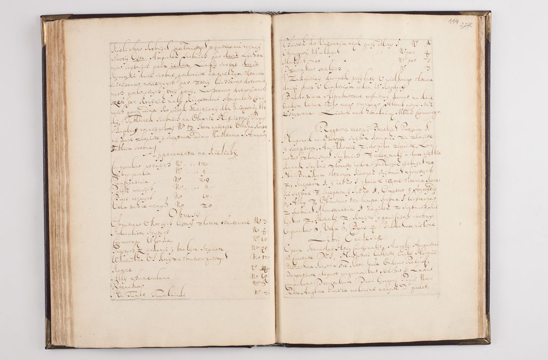 Zdjęcie nr 123 dla obiektu archiwalnego: Liber visitationum decanatus Dobczycensis a perillri ac reverendissimo Domino Nicolao Oborski Dei et Apostolice Sedis Gratia Episcopo Laodicensis Suffraganeo, Archidiacono, Vicario in Spiritualibus et Officiali Generali Cracoviensi 