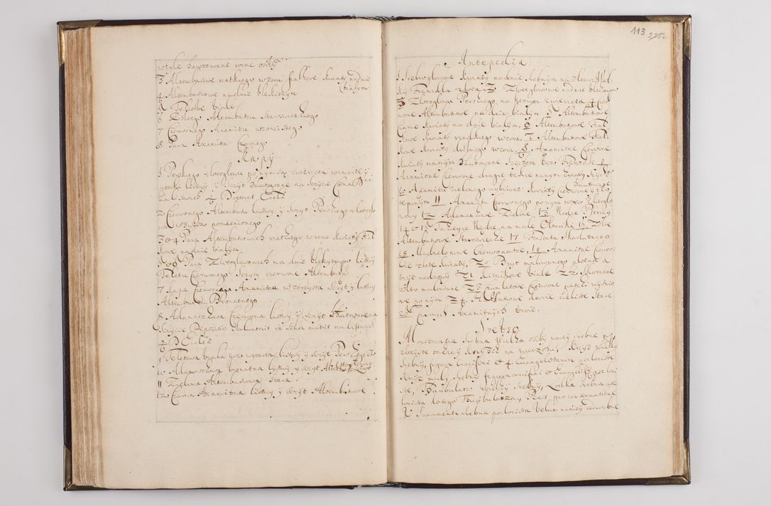 Zdjęcie nr 122 dla obiektu archiwalnego: Liber visitationum decanatus Dobczycensis a perillri ac reverendissimo Domino Nicolao Oborski Dei et Apostolice Sedis Gratia Episcopo Laodicensis Suffraganeo, Archidiacono, Vicario in Spiritualibus et Officiali Generali Cracoviensi 