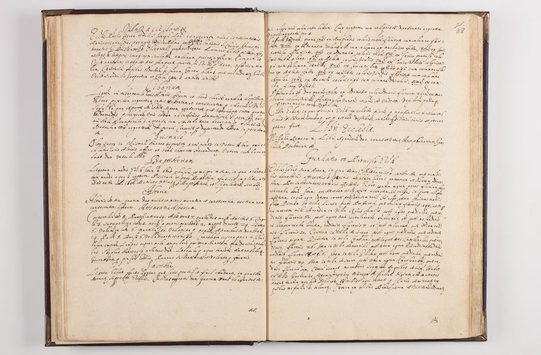Zdjęcie nr 45 dla obiektu archiwalnego: Liber visitationum decanatus Dobczycensis a perillri ac reverendissimo Domino Nicolao Oborski Dei et Apostolice Sedis Gratia Episcopo Laodicensis Suffraganeo, Archidiacono, Vicario in Spiritualibus et Officiali Generali Cracoviensi 
