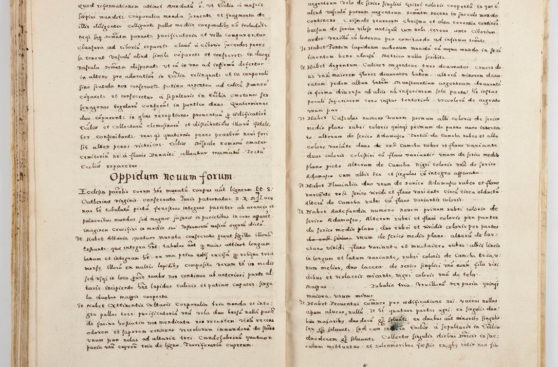 Zdjęcie nr 76 dla obiektu archiwalnego: Acta visitationis exterioris decanatuum Boboviensis, Sandecensis, Novi Fori ad Archidiaconatum Sandecensem pertinentium. Per venerabilem Christophorum Cazimirski praepositum Tarnoviensis ex comissione Illustrissimi Principis et Domini Domini Georgii Divina Miseratione S. R. Eccliae Tituli S. Sixti. Card. Praesbyteri Radziwił nuncupati Episcopatus Cracoviensis et Ducatus Severien administratoris perpertui in Olica et Nieswierz Ducis Anno Domini M.D.XC Sexto Pontificus SS Domini Domini Nostri Clementis Octavi Papae Anno in dictiae nona facta seu expedita