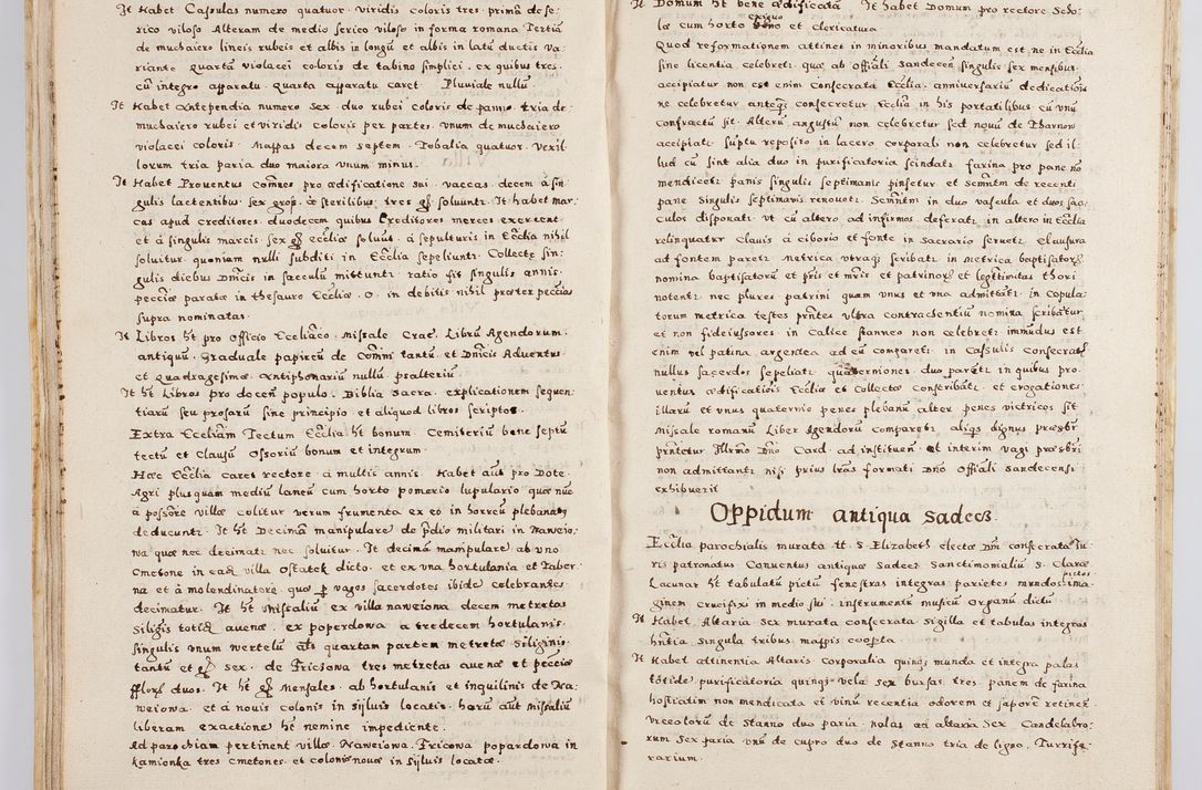 Zdjęcie nr 36 dla obiektu archiwalnego: Acta visitationis exterioris decanatuum Boboviensis, Sandecensis, Novi Fori ad Archidiaconatum Sandecensem pertinentium. Per venerabilem Christophorum Cazimirski praepositum Tarnoviensis ex comissione Illustrissimi Principis et Domini Domini Georgii Divina Miseratione S. R. Eccliae Tituli S. Sixti. Card. Praesbyteri Radziwił nuncupati Episcopatus Cracoviensis et Ducatus Severien administratoris perpertui in Olica et Nieswierz Ducis Anno Domini M.D.XC Sexto Pontificus SS Domini Domini Nostri Clementis Octavi Papae Anno in dictiae nona facta seu expedita