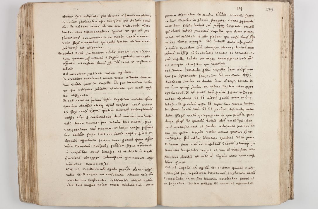 Zdjęcie nr 133 dla obiektu archiwalnego: Acta visitationis exterioris decanatuum Tarnoviensis, Dobcicensis, Woynicensis, Opatowiensis, Lypnicensis et Wielicensis ad Archidiaconatum Cracoviensis pertinentium per venerabilem Christophorum Cazimirski Praepositum Tarnoviensis mandato Illustrissimi Principis et Domini Domini Georgini Divina Miseratione S. R. Ecclessia Tituli S. Sixti Card. Praesbyteri Rzadziwł nuncupati Episcopatus Cracoviensis et Ducatus Severiensis administratoris perpetui in Olica et Neswiesz Ducis et ex commissione admodum Rndi. Dni. D. Stanislai Crasinski Archidiaconi in spiritualibus vicarii et generalis officialis Cracoviensis etc. etc.
