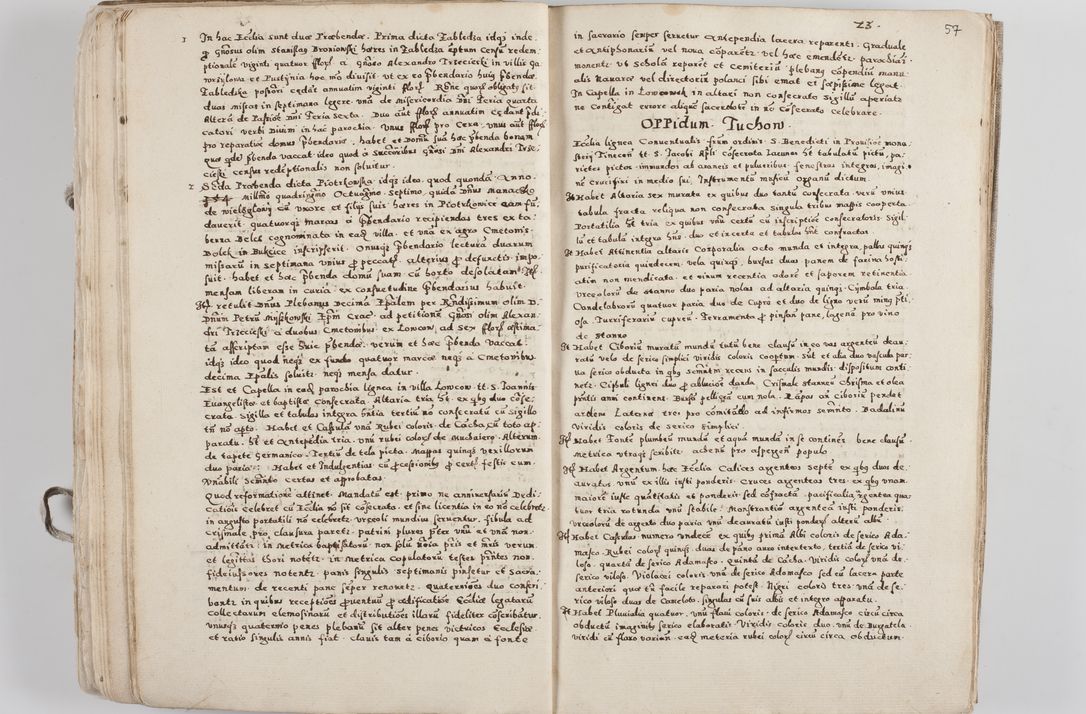 Zdjęcie nr 37 dla obiektu archiwalnego: Acta visitationis exterioris decanatuum Tarnoviensis, Dobcicensis, Woynicensis, Opatowiensis, Lypnicensis et Wielicensis ad Archidiaconatum Cracoviensis pertinentium per venerabilem Christophorum Cazimirski Praepositum Tarnoviensis mandato Illustrissimi Principis et Domini Domini Georgini Divina Miseratione S. R. Ecclessia Tituli S. Sixti Card. Praesbyteri Rzadziwł nuncupati Episcopatus Cracoviensis et Ducatus Severiensis administratoris perpetui in Olica et Neswiesz Ducis et ex commissione admodum Rndi. Dni. D. Stanislai Crasinski Archidiaconi in spiritualibus vicarii et generalis officialis Cracoviensis etc. etc.