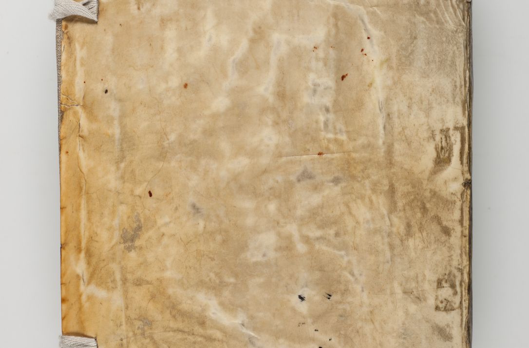 Zdjęcie nr 2 dla obiektu archiwalnego: Acta visitationis exterioris decanatuum Tarnoviensis, Dobcicensis, Woynicensis, Opatowiensis, Lypnicensis et Wielicensis ad Archidiaconatum Cracoviensis pertinentium per venerabilem Christophorum Cazimirski Praepositum Tarnoviensis mandato Illustrissimi Principis et Domini Domini Georgini Divina Miseratione S. R. Ecclessia Tituli S. Sixti Card. Praesbyteri Rzadziwł nuncupati Episcopatus Cracoviensis et Ducatus Severiensis administratoris perpetui in Olica et Neswiesz Ducis et ex commissione admodum Rndi. Dni. D. Stanislai Crasinski Archidiaconi in spiritualibus vicarii et generalis officialis Cracoviensis etc. etc.