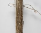 Zdjęcie nr 3 dla obiektu archiwalnego: Acta visitationis exterioris decanatuum Tarnoviensis, Dobcicensis, Woynicensis, Opatowiensis, Lypnicensis et Wielicensis ad Archidiaconatum Cracoviensis pertinentium per venerabilem Christophorum Cazimirski Praepositum Tarnoviensis mandato Illustrissimi Principis et Domini Domini Georgini Divina Miseratione S. R. Ecclessia Tituli S. Sixti Card. Praesbyteri Rzadziwł nuncupati Episcopatus Cracoviensis et Ducatus Severiensis administratoris perpetui in Olica et Neswiesz Ducis et ex commissione admodum Rndi. Dni. D. Stanislai Crasinski Archidiaconi in spiritualibus vicarii et generalis officialis Cracoviensis etc. etc.