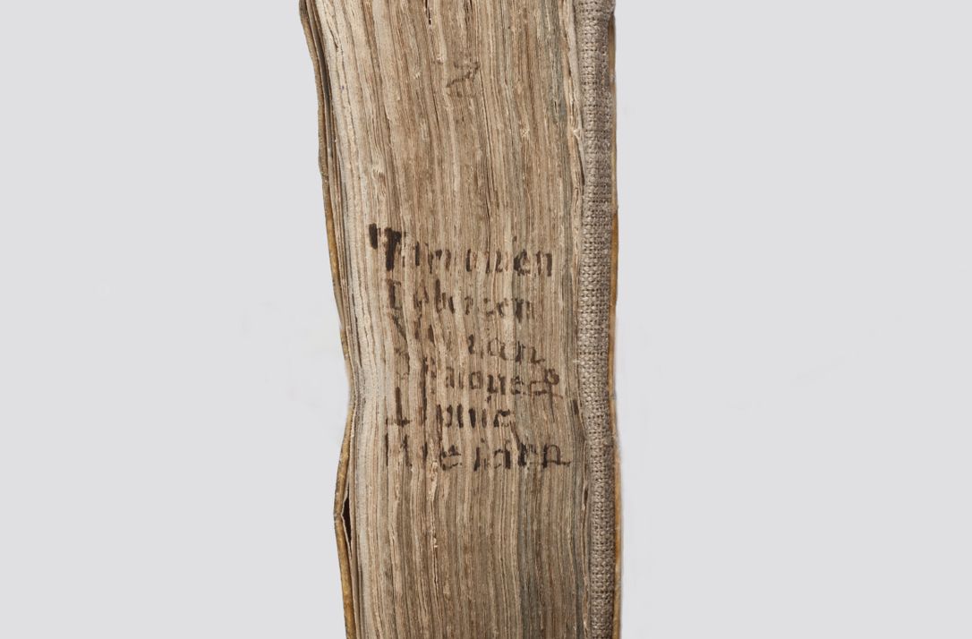 Zdjęcie nr 4 dla obiektu archiwalnego: Acta visitationis exterioris decanatuum Tarnoviensis, Dobcicensis, Woynicensis, Opatowiensis, Lypnicensis et Wielicensis ad Archidiaconatum Cracoviensis pertinentium per venerabilem Christophorum Cazimirski Praepositum Tarnoviensis mandato Illustrissimi Principis et Domini Domini Georgini Divina Miseratione S. R. Ecclessia Tituli S. Sixti Card. Praesbyteri Rzadziwł nuncupati Episcopatus Cracoviensis et Ducatus Severiensis administratoris perpetui in Olica et Neswiesz Ducis et ex commissione admodum Rndi. Dni. D. Stanislai Crasinski Archidiaconi in spiritualibus vicarii et generalis officialis Cracoviensis etc. etc.