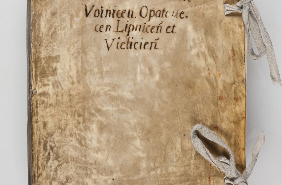 Zdjęcie nr 1 dla obiektu archiwalnego: Acta visitationis exterioris decanatuum Tarnoviensis, Dobcicensis, Woynicensis, Opatowiensis, Lypnicensis et Wielicensis ad Archidiaconatum Cracoviensis pertinentium per venerabilem Christophorum Cazimirski Praepositum Tarnoviensis mandato Illustrissimi Principis et Domini Domini Georgini Divina Miseratione S. R. Ecclessia Tituli S. Sixti Card. Praesbyteri Rzadziwł nuncupati Episcopatus Cracoviensis et Ducatus Severiensis administratoris perpetui in Olica et Neswiesz Ducis et ex commissione admodum Rndi. Dni. D. Stanislai Crasinski Archidiaconi in spiritualibus vicarii et generalis officialis Cracoviensis etc. etc.