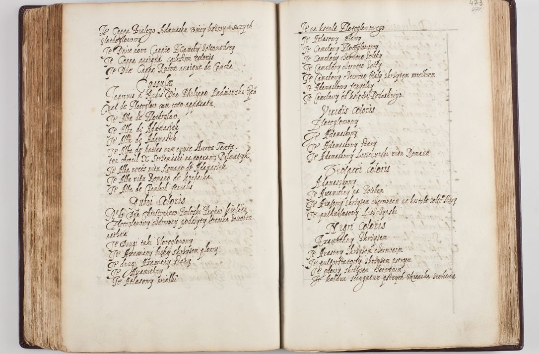 Zdjęcie nr 252 dla obiektu archiwalnego: Visitatio seconda Ecclesiae et Conventus Sacra tituli Corporis Christi Cracoviae in Cazimiria