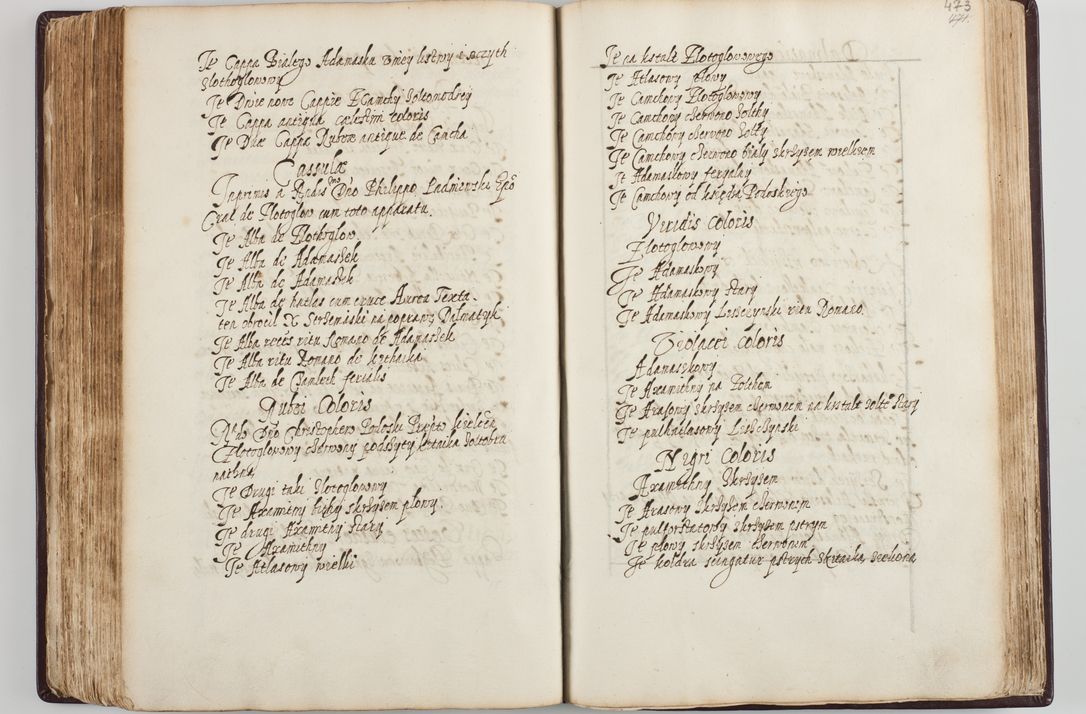 Zdjęcie nr 251 dla obiektu archiwalnego: Visitatio seconda Ecclesiae et Conventus Sacra tituli Corporis Christi Cracoviae in Cazimiria