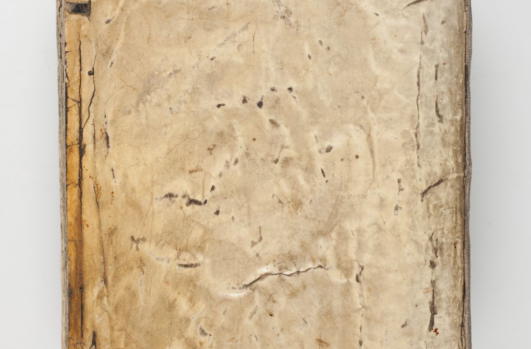 Zdjęcie nr 2 dla obiektu archiwalnego: Acta visitationis exterioris decanatuum Skalnensis, Wolbromensis, Leloviensis, Bytomiensis et Plesnensis ad Archid. Crac. pertinentium per R. D. Christoph. Kazimirski, Ep. Kijov Praep. Tarnov. a. D. 1598 factae.