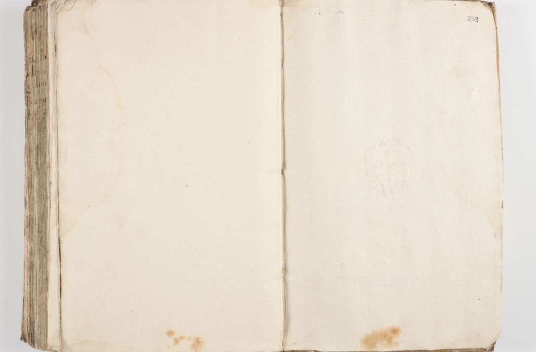 Zdjęcie nr 237 dla obiektu archiwalnego: Acta visitationis exterioris decanatuum Skalnensis, Wolbromensis, Leloviensis, Bytomiensis et Plesnensis ad Archid. Crac. pertinentium per R. D. Christoph. Kazimirski, Ep. Kijov Praep. Tarnov. a. D. 1598 factae.