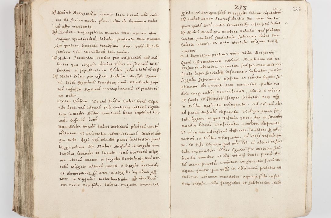 Zdjęcie nr 228 dla obiektu archiwalnego: Acta visitationis exterioris decanatuum Skalnensis, Wolbromensis, Leloviensis, Bytomiensis et Plesnensis ad Archid. Crac. pertinentium per R. D. Christoph. Kazimirski, Ep. Kijov Praep. Tarnov. a. D. 1598 factae.