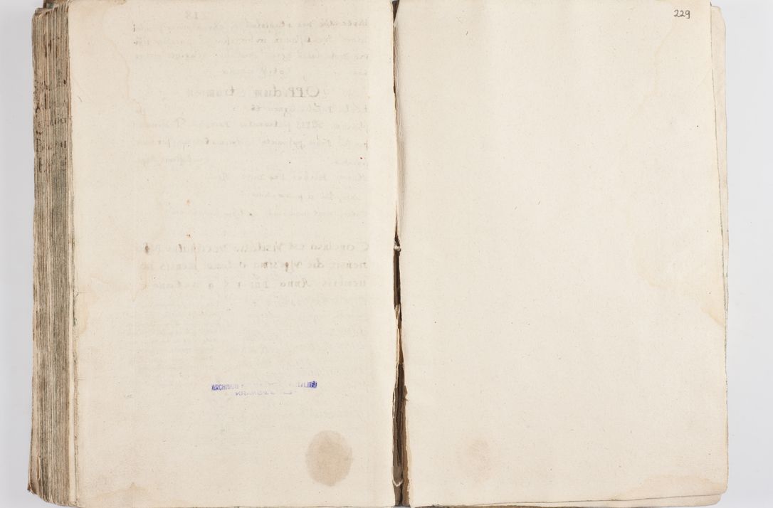 Zdjęcie nr 234 dla obiektu archiwalnego: Acta visitationis exterioris decanatuum Skalnensis, Wolbromensis, Leloviensis, Bytomiensis et Plesnensis ad Archid. Crac. pertinentium per R. D. Christoph. Kazimirski, Ep. Kijov Praep. Tarnov. a. D. 1598 factae.