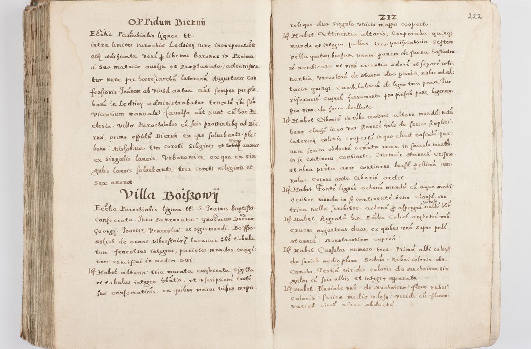 Zdjęcie nr 227 dla obiektu archiwalnego: Acta visitationis exterioris decanatuum Skalnensis, Wolbromensis, Leloviensis, Bytomiensis et Plesnensis ad Archid. Crac. pertinentium per R. D. Christoph. Kazimirski, Ep. Kijov Praep. Tarnov. a. D. 1598 factae.