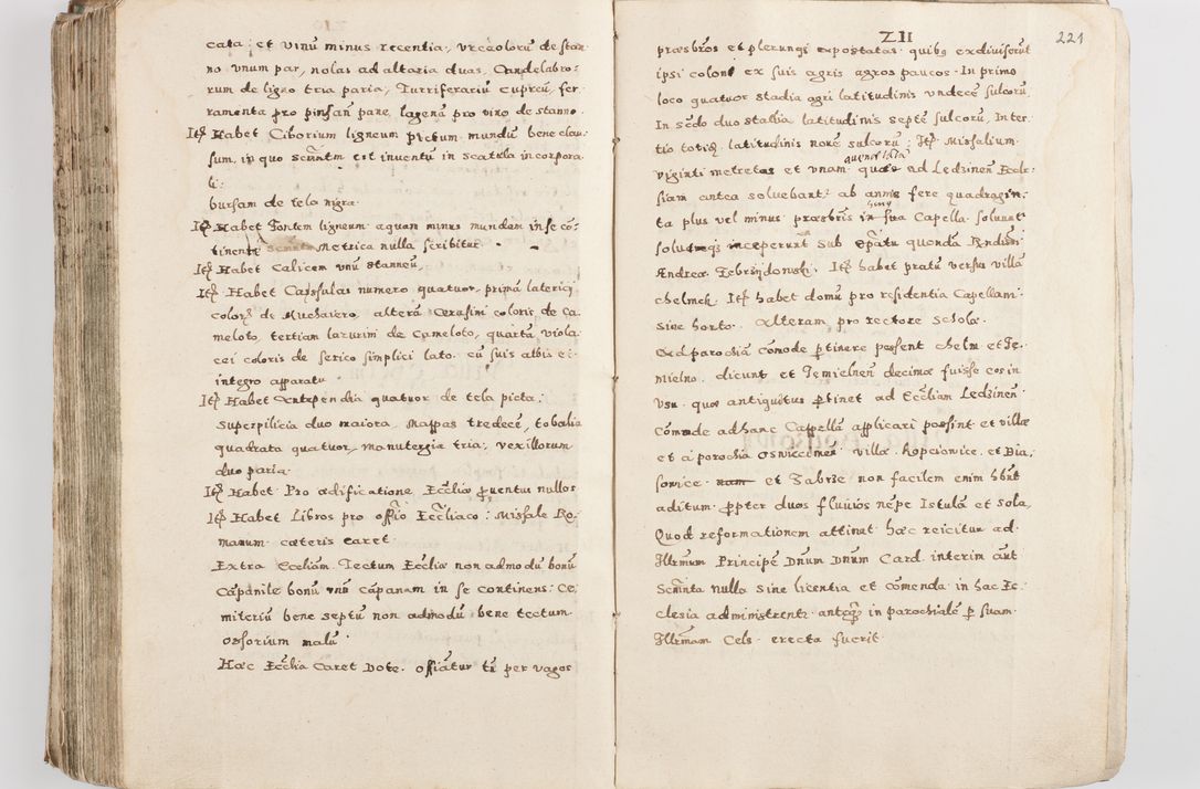 Zdjęcie nr 226 dla obiektu archiwalnego: Acta visitationis exterioris decanatuum Skalnensis, Wolbromensis, Leloviensis, Bytomiensis et Plesnensis ad Archid. Crac. pertinentium per R. D. Christoph. Kazimirski, Ep. Kijov Praep. Tarnov. a. D. 1598 factae.