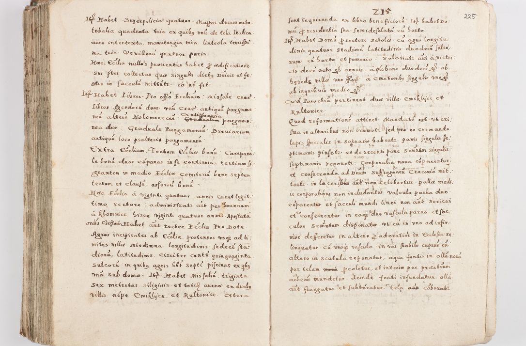 Zdjęcie nr 230 dla obiektu archiwalnego: Acta visitationis exterioris decanatuum Skalnensis, Wolbromensis, Leloviensis, Bytomiensis et Plesnensis ad Archid. Crac. pertinentium per R. D. Christoph. Kazimirski, Ep. Kijov Praep. Tarnov. a. D. 1598 factae.