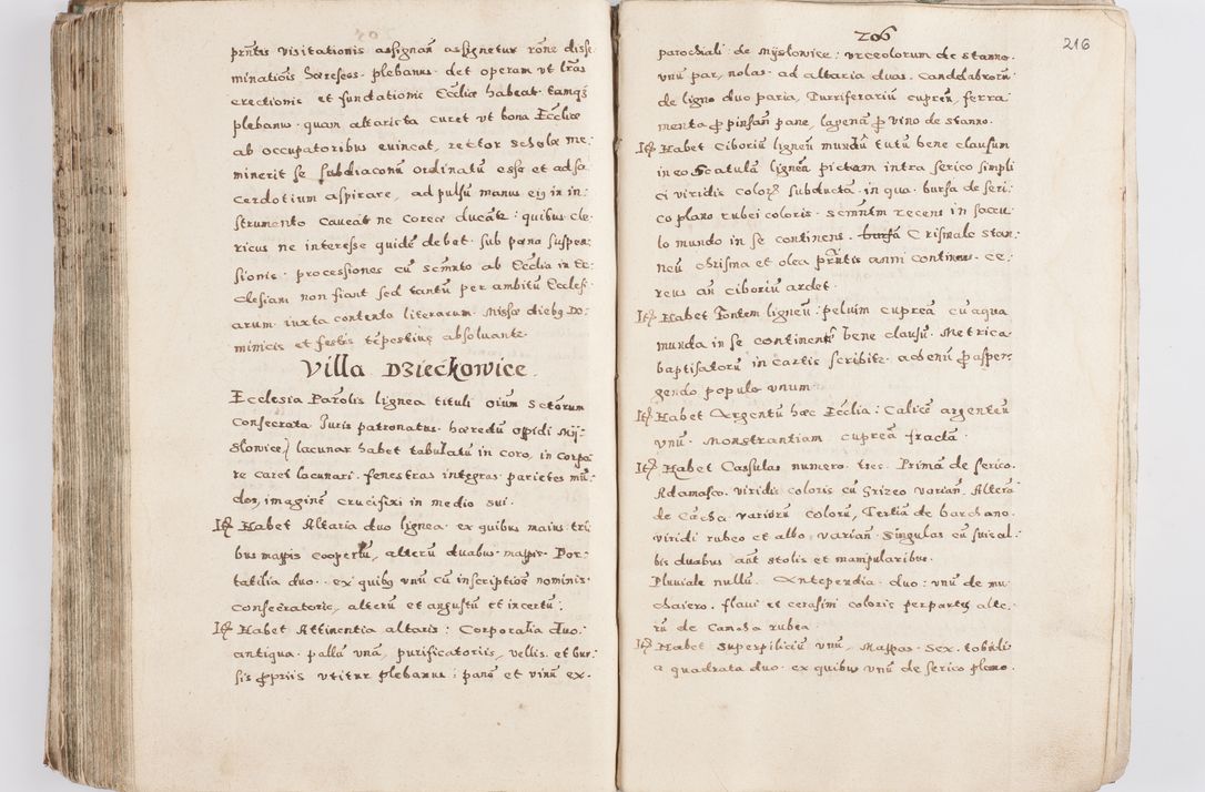 Zdjęcie nr 221 dla obiektu archiwalnego: Acta visitationis exterioris decanatuum Skalnensis, Wolbromensis, Leloviensis, Bytomiensis et Plesnensis ad Archid. Crac. pertinentium per R. D. Christoph. Kazimirski, Ep. Kijov Praep. Tarnov. a. D. 1598 factae.