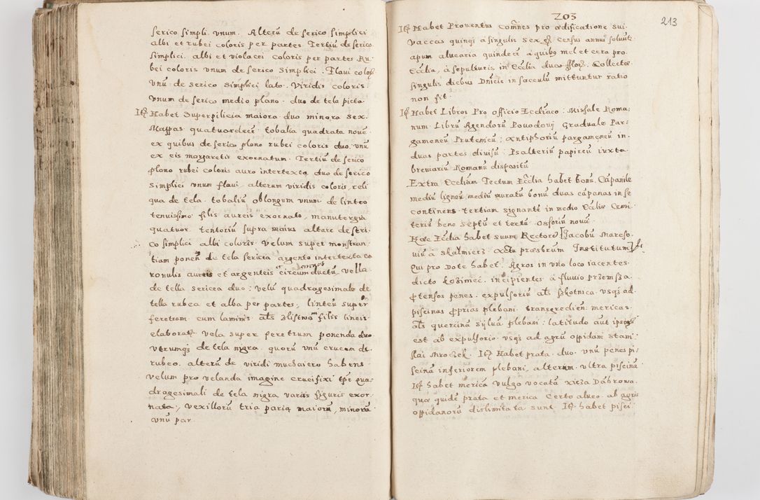 Zdjęcie nr 218 dla obiektu archiwalnego: Acta visitationis exterioris decanatuum Skalnensis, Wolbromensis, Leloviensis, Bytomiensis et Plesnensis ad Archid. Crac. pertinentium per R. D. Christoph. Kazimirski, Ep. Kijov Praep. Tarnov. a. D. 1598 factae.