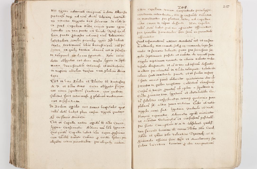Zdjęcie nr 220 dla obiektu archiwalnego: Acta visitationis exterioris decanatuum Skalnensis, Wolbromensis, Leloviensis, Bytomiensis et Plesnensis ad Archid. Crac. pertinentium per R. D. Christoph. Kazimirski, Ep. Kijov Praep. Tarnov. a. D. 1598 factae.