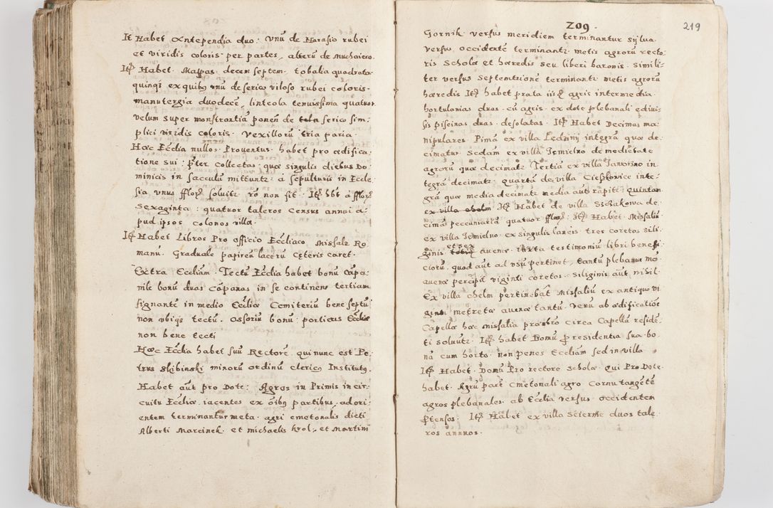 Zdjęcie nr 224 dla obiektu archiwalnego: Acta visitationis exterioris decanatuum Skalnensis, Wolbromensis, Leloviensis, Bytomiensis et Plesnensis ad Archid. Crac. pertinentium per R. D. Christoph. Kazimirski, Ep. Kijov Praep. Tarnov. a. D. 1598 factae.