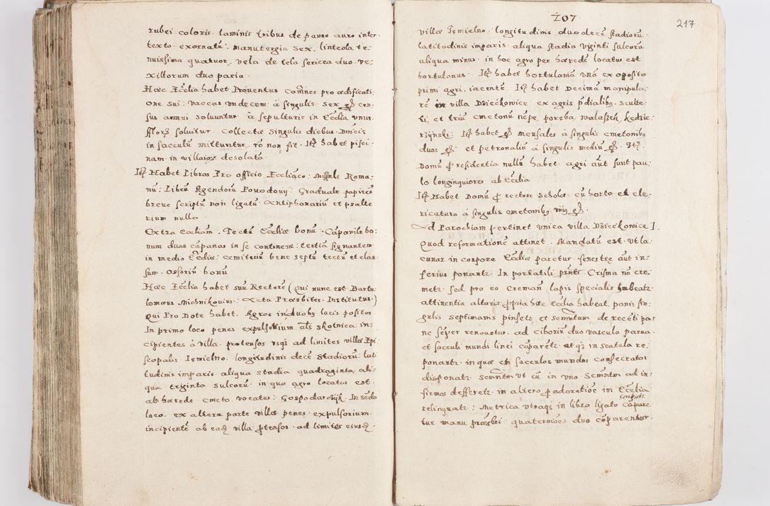 Zdjęcie nr 222 dla obiektu archiwalnego: Acta visitationis exterioris decanatuum Skalnensis, Wolbromensis, Leloviensis, Bytomiensis et Plesnensis ad Archid. Crac. pertinentium per R. D. Christoph. Kazimirski, Ep. Kijov Praep. Tarnov. a. D. 1598 factae.