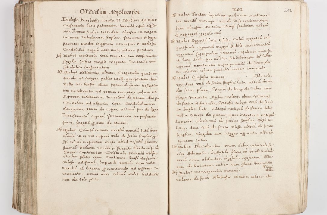 Zdjęcie nr 217 dla obiektu archiwalnego: Acta visitationis exterioris decanatuum Skalnensis, Wolbromensis, Leloviensis, Bytomiensis et Plesnensis ad Archid. Crac. pertinentium per R. D. Christoph. Kazimirski, Ep. Kijov Praep. Tarnov. a. D. 1598 factae.