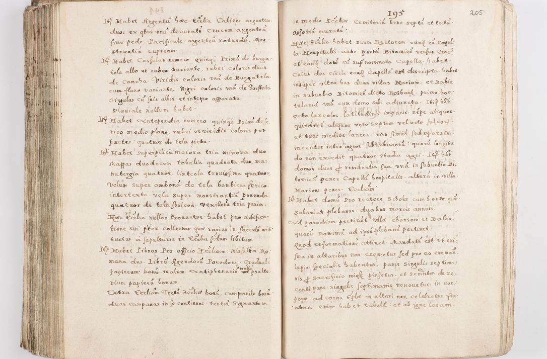 Zdjęcie nr 210 dla obiektu archiwalnego: Acta visitationis exterioris decanatuum Skalnensis, Wolbromensis, Leloviensis, Bytomiensis et Plesnensis ad Archid. Crac. pertinentium per R. D. Christoph. Kazimirski, Ep. Kijov Praep. Tarnov. a. D. 1598 factae.