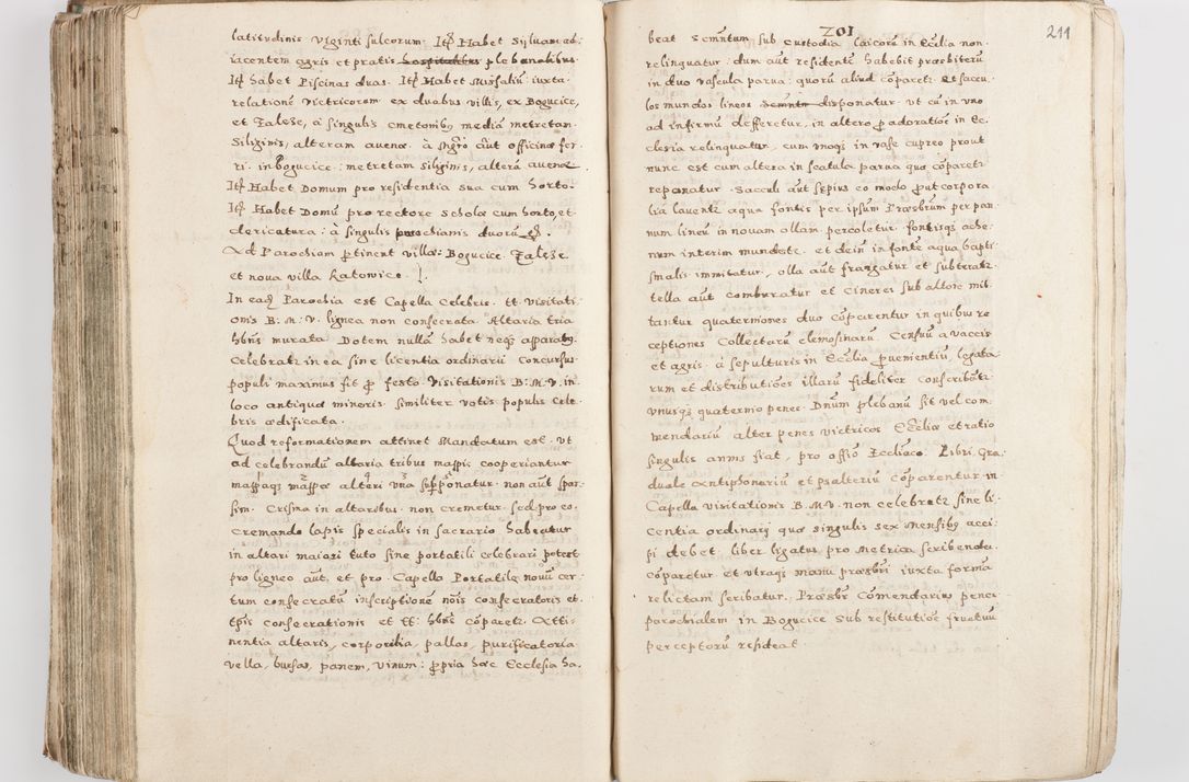 Zdjęcie nr 216 dla obiektu archiwalnego: Acta visitationis exterioris decanatuum Skalnensis, Wolbromensis, Leloviensis, Bytomiensis et Plesnensis ad Archid. Crac. pertinentium per R. D. Christoph. Kazimirski, Ep. Kijov Praep. Tarnov. a. D. 1598 factae.