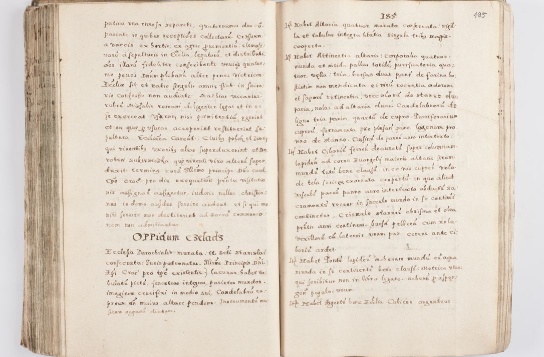 Zdjęcie nr 200 dla obiektu archiwalnego: Acta visitationis exterioris decanatuum Skalnensis, Wolbromensis, Leloviensis, Bytomiensis et Plesnensis ad Archid. Crac. pertinentium per R. D. Christoph. Kazimirski, Ep. Kijov Praep. Tarnov. a. D. 1598 factae.