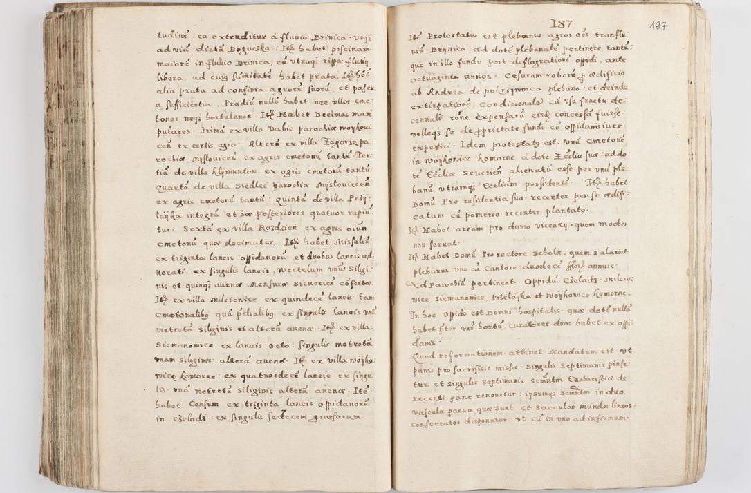 Zdjęcie nr 202 dla obiektu archiwalnego: Acta visitationis exterioris decanatuum Skalnensis, Wolbromensis, Leloviensis, Bytomiensis et Plesnensis ad Archid. Crac. pertinentium per R. D. Christoph. Kazimirski, Ep. Kijov Praep. Tarnov. a. D. 1598 factae.
